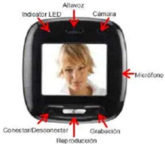 INTENSO Viddy - (INTENSO) - 2
