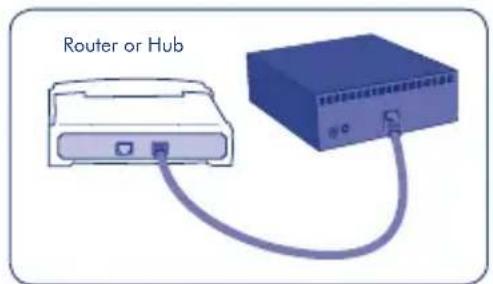 Router or Hub