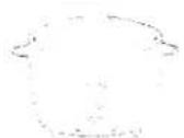 PANASONIC SRG10G - Scales by nations on the Pan - 3