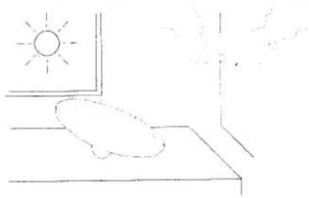 PANASONIC SRG10G - Precauciones - 10
