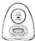 PANASONIC SRG10G - Scales by nations on the Pan - 12