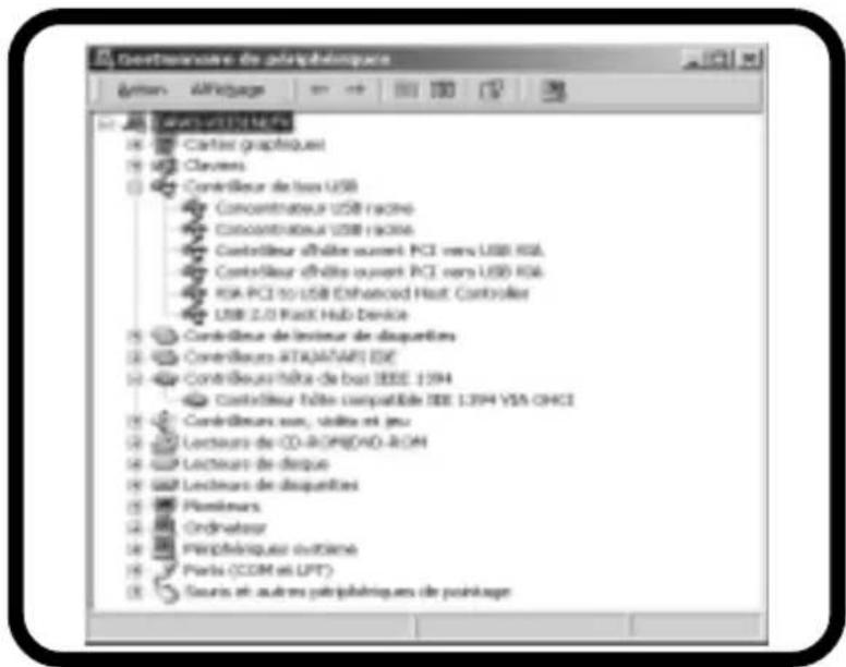 Dawicontrol DCDUOMEDIA - Windows 2000 / XP / 2003 - 6