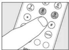 PHILIPS Multimedia Remote Control - Instruzioni per l'uso - 3