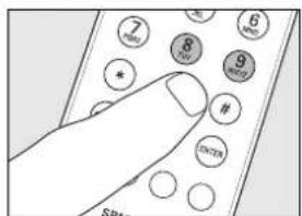 PHILIPS Multimedia Remote Control - Käyttöohjeet - 19