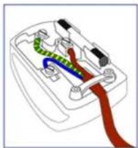 PHILIPS Brilliance 220CW9FB - How to connect a plug - 1