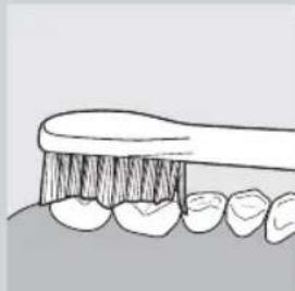 PHILIPS SPA3250 - Brushing instructions - 3