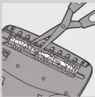 PHILIPS SHE9503 - Reinigen der Bürstenrolle - 1