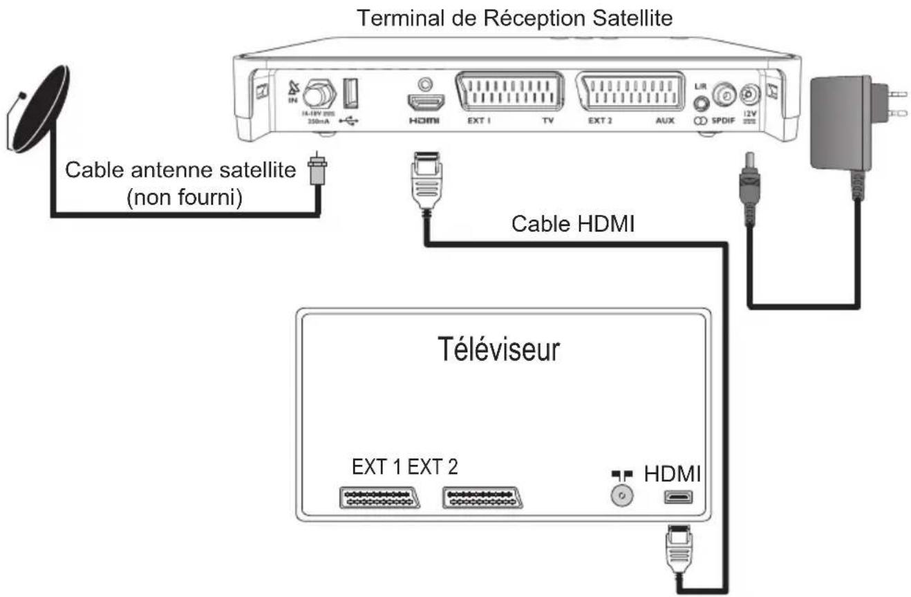 PHILIPS DSR5020 - Connexion HDMI - 1