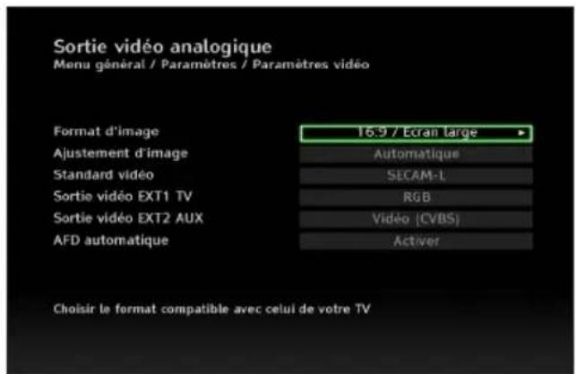PHILIPS DSR5020 - Sortie video analogue - 1