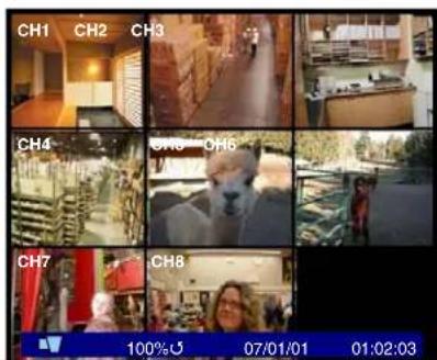 Lorex L208D251 - Camera Display Modes - 4