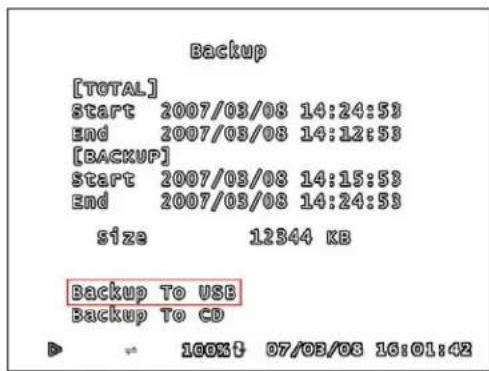 Lorex L208D251 - USANDO LA FUNCION DE RESPALDO - 3