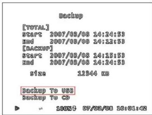 Lorex L208D251 - USING THE BACK-UP FUNCTION - 3