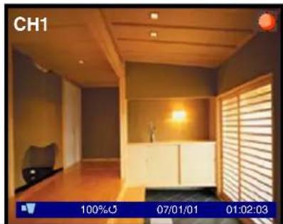 Lorex L208D251 - Camera Display Modes - 1