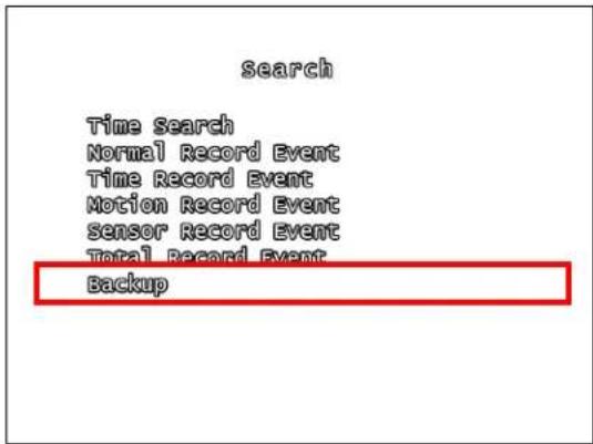 Lorex L208D251 - BACKUP FUNCTION - 1