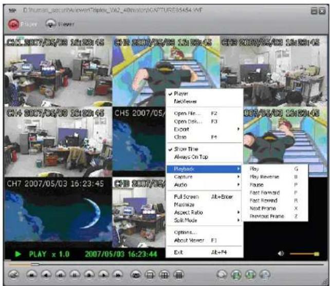 Lorex L208D251 - PLAYBACK - 1