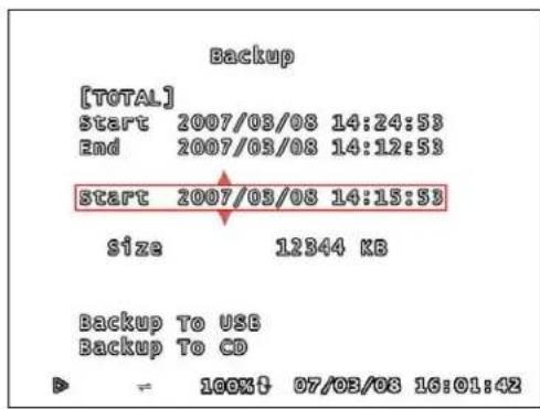 Lorex L208D251 - USING THE BACK-UP FUNCTION - 2