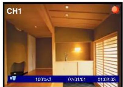 Lorex L208D251 - Modos de visualización de cármara - 1