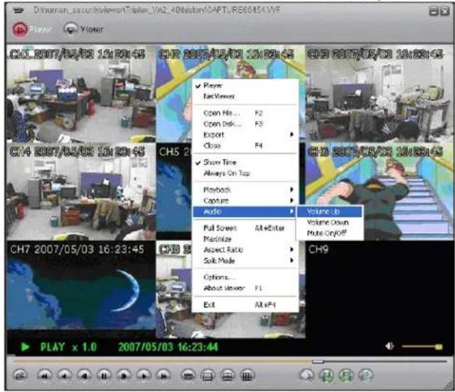 Lorex L208D251 - AUDIO FUNCTION - 1