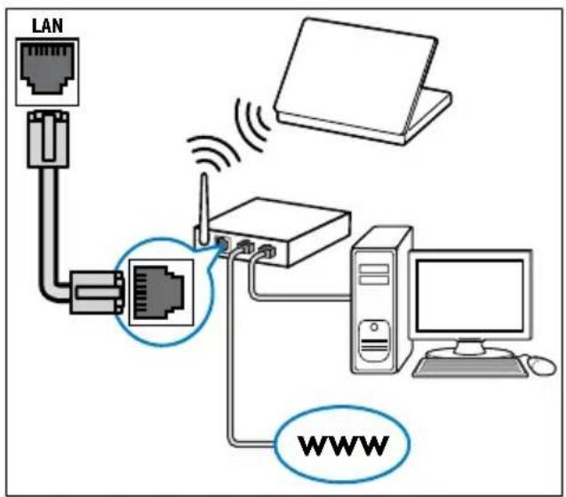 LAN WiFi WWW