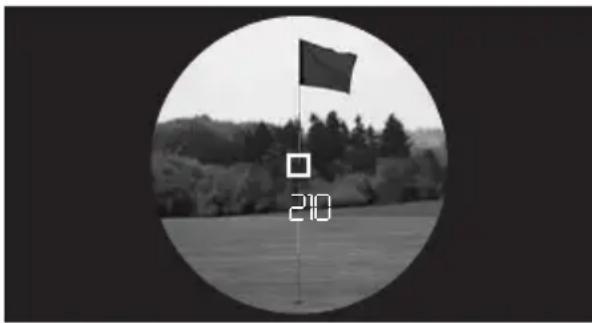 LEICA Pinmaster II - FIRST TARGET LOGIC - 1