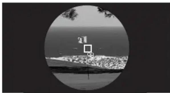 LEICA Pinmaster II - Remarques: - 1