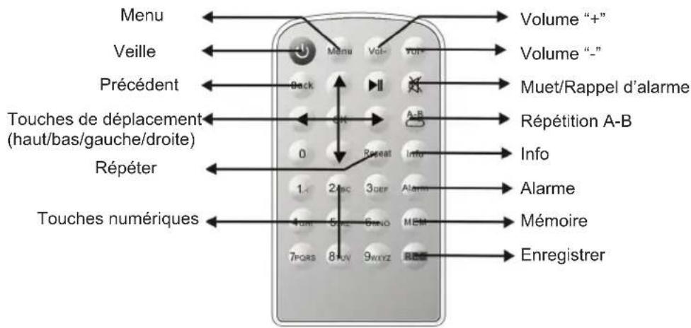 KONIG HAVIR21 - Telecommande - 1