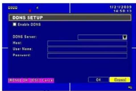 Lupus Electronics LE816 Plus - Configuration DDNS - 1