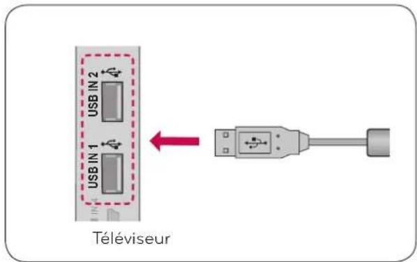 USB IN 2 USB IN 1 Téléviseur