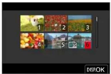 LEICA VLux 30 - Lorsqu'un écran similaire à celui de droite est affiché : - 1