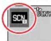 LEICA VLux 30 - Appuyez sur la touche [DISP] pendant l'affichage de l'écran de seLECTION de scene - 3