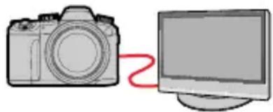 LEICA VLux 30 - Affichage sur I'écran d'un téléviseur - 1