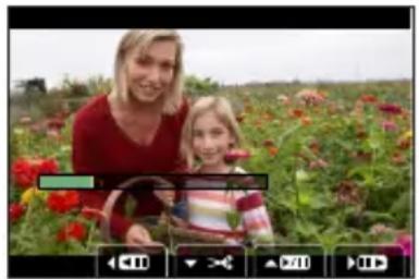 LEICA VLux 30 - MENU  [lect.]  [Division video] - 1