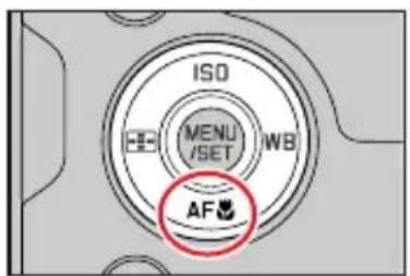 LEICA VLux 30 - Prises de vues en gros plan (Enregistrement macro) - 1