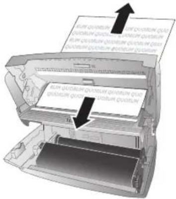 PHILIPS Magic 5 Eco Primo PPF631E - Eliminer le bourrage de document - 3