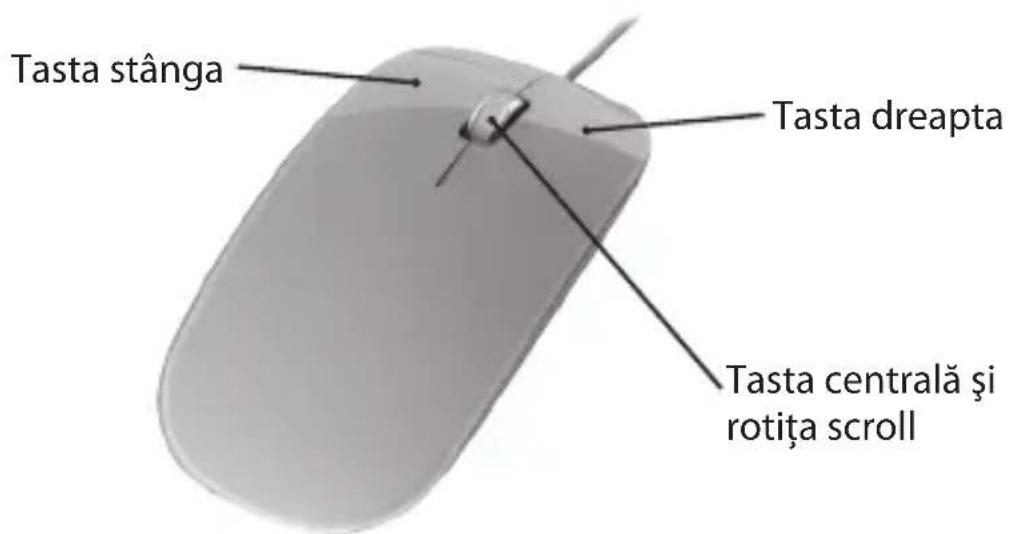 Kraun KA.A2 - COMENZI - 1