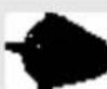 NILFISK E 140.29 PAD XTRA - Accessoires - 11