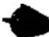 NILFISK E 140.29 PAD XTRA - Accessoires - 10