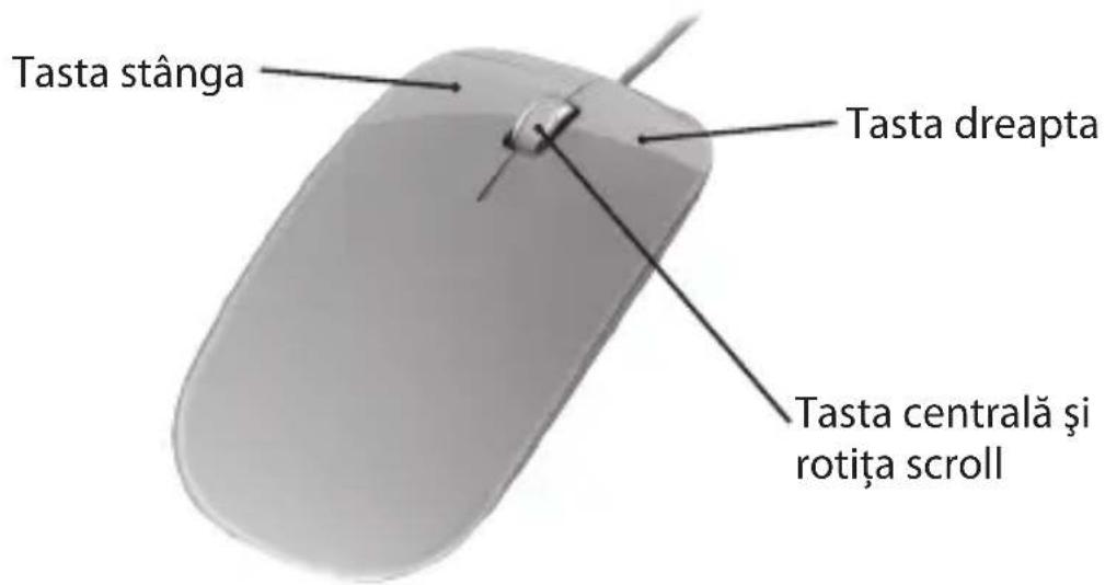 Kraun KA.A4 - COMENZI - 1