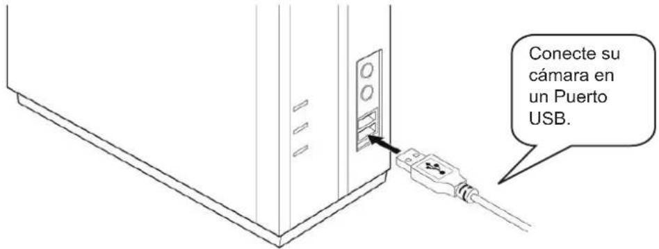 Conecte su cámara en un Puerto USB.