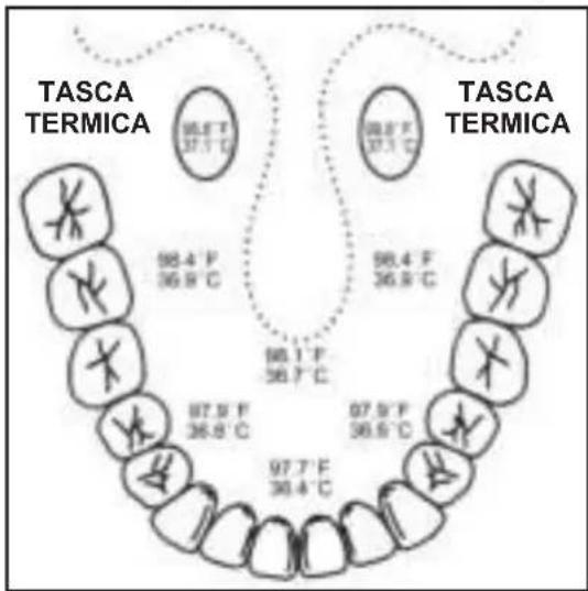 TASCA TERMICA 98.5 F 37.1 °C 98.4 F 36.9 °C 98.1 F 36.7 °C 97.9 F 36.8 °C 97.7 F 36.4 °C TASCA TERMICA