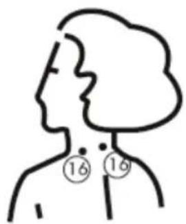 KONIG HCSM10 - Wartung und Lagerung des Geräts: - 20