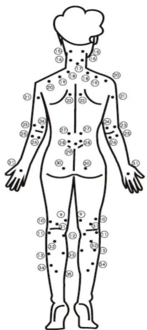 KONIG HCSM10 - Wartung und Lagerung des Geräts: - 1