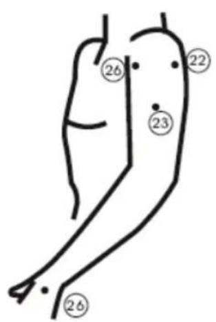 KONIG HCSM10 - Manutenzione e conservazione dell'unità: - 7