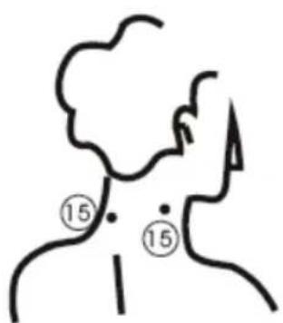 KONIG HCSM10 - Wartung und Lagerung des Geräts: - 21