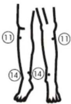 KONIG HCSM10 - Manutenzione e conservazione dell'unità: - 12