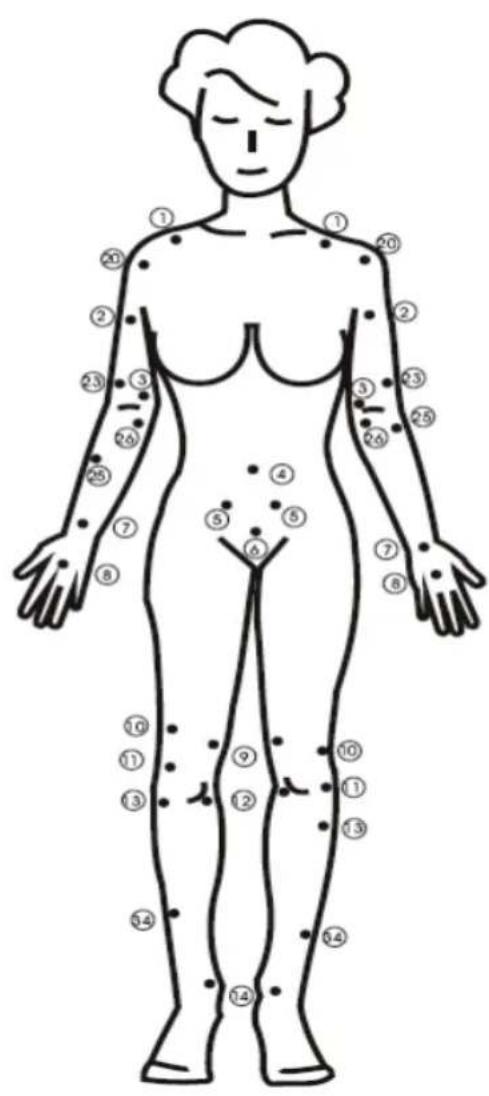 KONIG HCSM10 - Wartung und Lagerung des Geräts: - 2