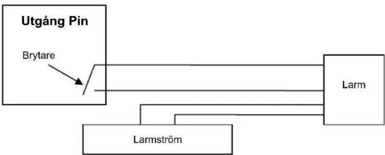 KONIG CMPNWIPCAM31 - Utseende och gransnitt - 1