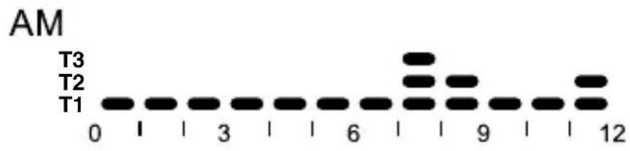 Gewiss GW12703 - Voreingestelle Programme - 1