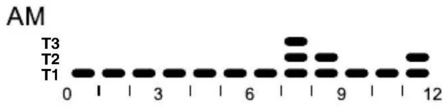 Gewiss GW12703 - Preset programs - 1