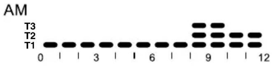 Gewiss GW12703 - Preset programs - 3